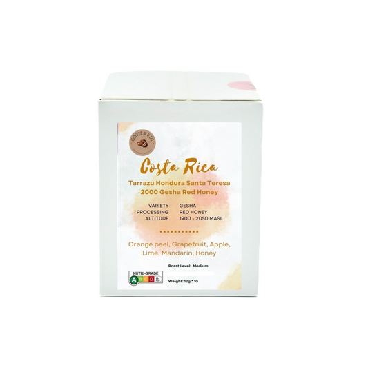 Costa Rica Terrazu Gesha Coffee Drip Bags