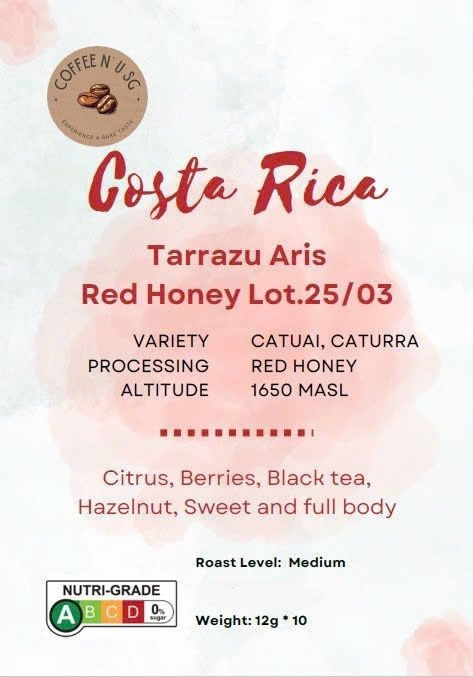 Costa Rica Tarrazu Aris Drip Bag