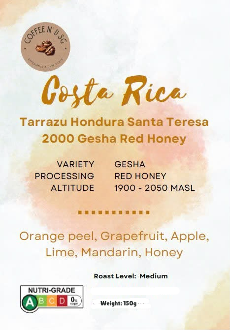 Costa Rica Terrazu Gesha Coffee Drip Bags