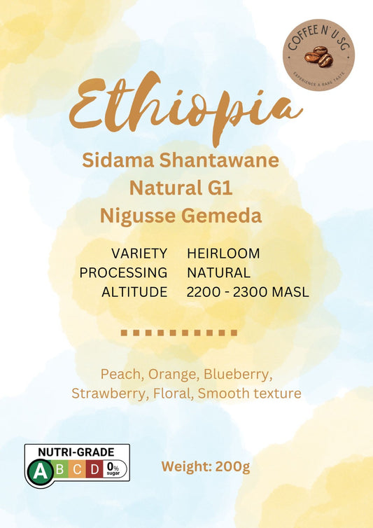 Ethiopia Sidama Shantawane Natural G1 Nigusse Gemeda Drip Bags